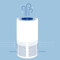What Pollutants Do Air Filters Remove? A Comprehensive Guide